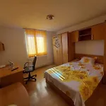 Ferienhaus Vila In Zona Centrala Craiova