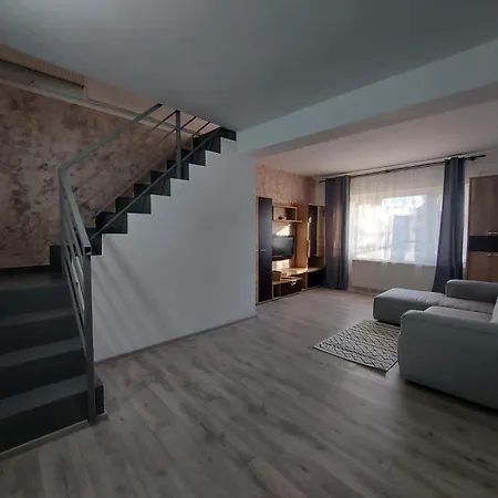 度假居 Vila In Zona Centrala *