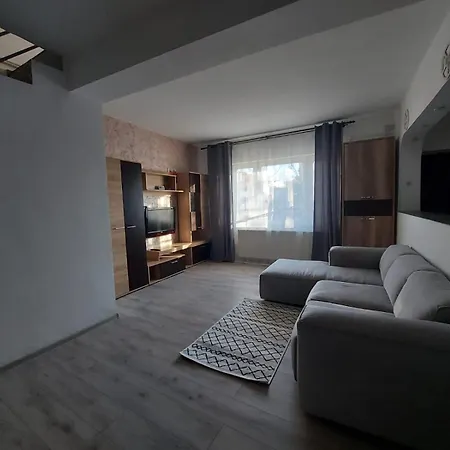 Vila In Zona Centrala *