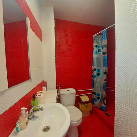 度假居 Vila In Zona Centrala *