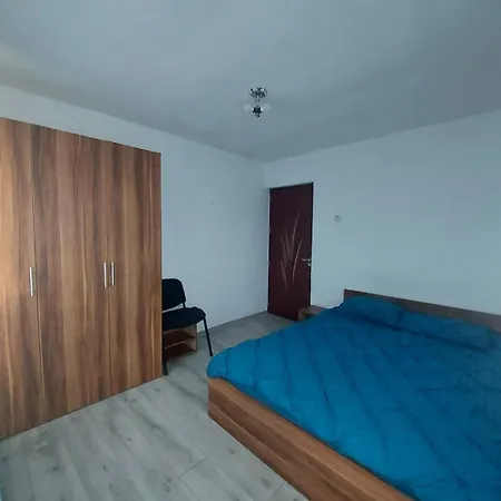 Vila In Zona Centrala Craiova