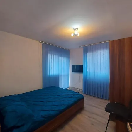 度假居 Vila In Zona Centrala *